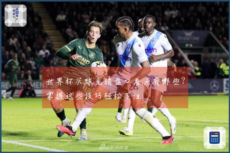 世界杯买球竞猜盘口看点有哪些？掌握这些技巧轻松下注