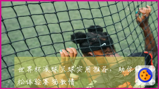 世界杯滚球买球实用推荐，助你轻松体验赛场激情