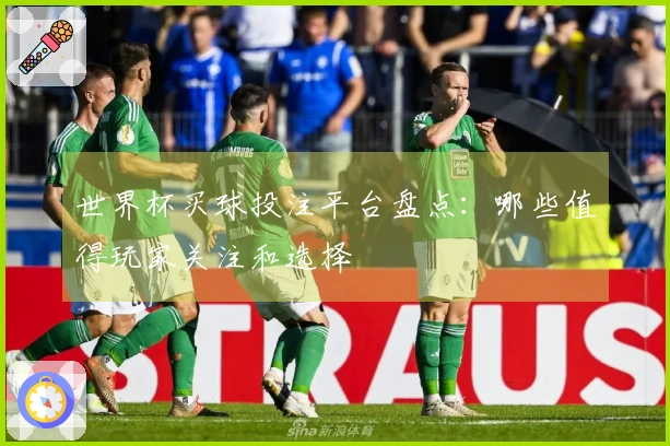 世界杯买球投注平台盘点：哪些值得玩家关注和选择