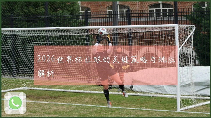 2026世界杯让球的关键策略与玩法解析