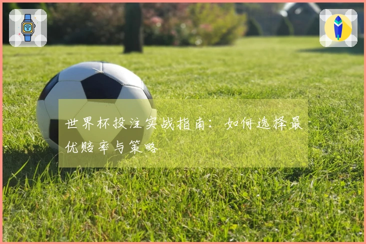 世界杯投注实战指南：如何选择最优赔率与策略