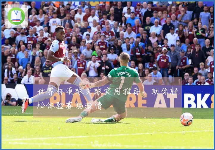 世界杯滚球买球实用推荐，助你轻松体验赛场激情