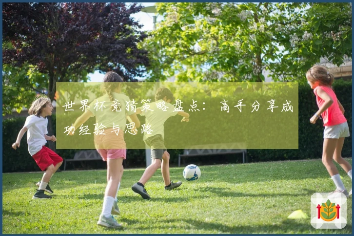 世界杯竞猜策略盘点：高手分享成功经验与思路
