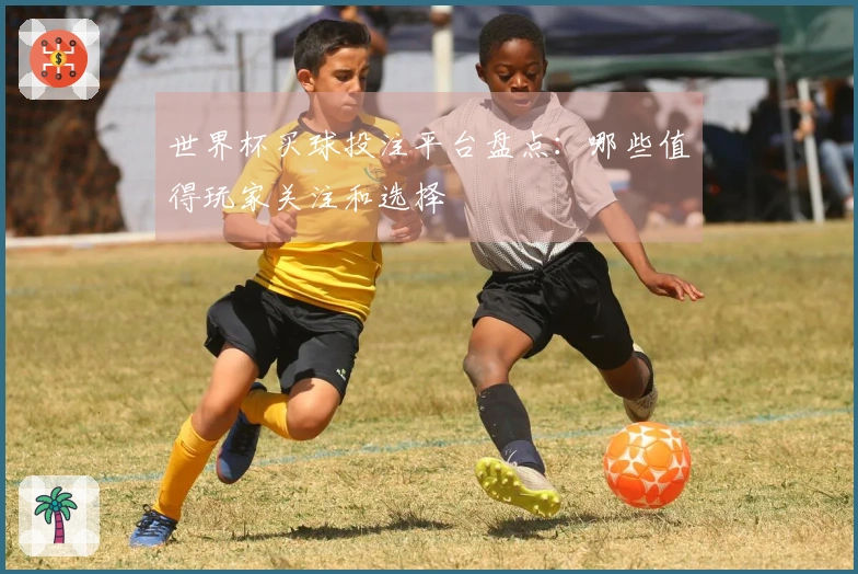 世界杯买球投注平台盘点：哪些值得玩家关注和选择