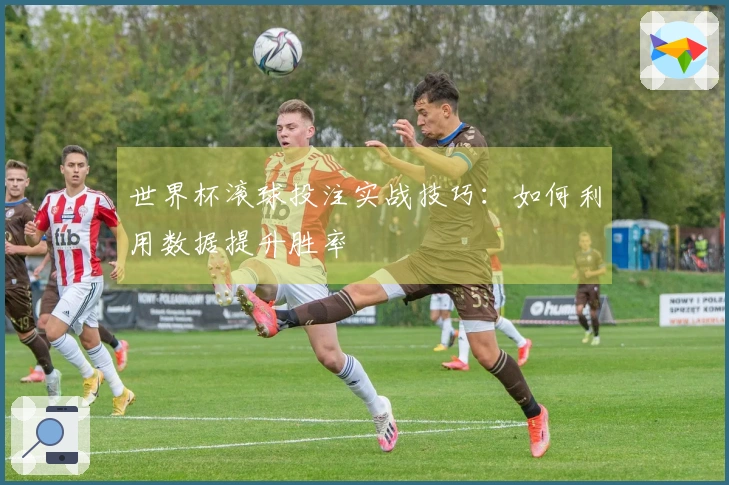 世界杯滚球投注实战技巧：如何利用数据提升胜率