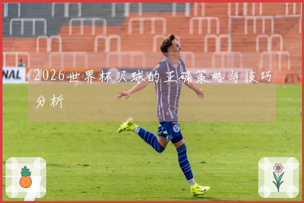 2026世界杯买球的正确策略与技巧分析