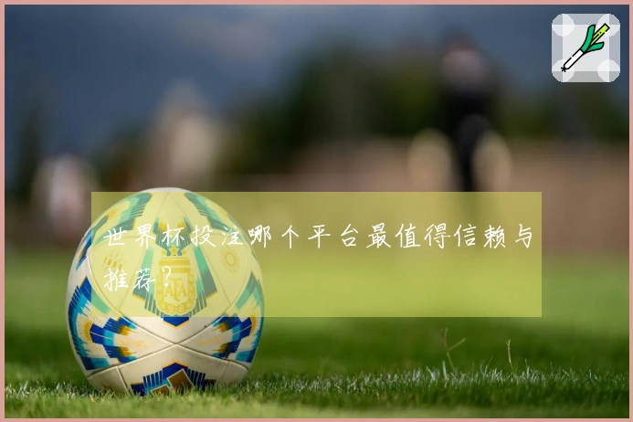 世界杯投注哪个平台最值得信赖与推荐？
