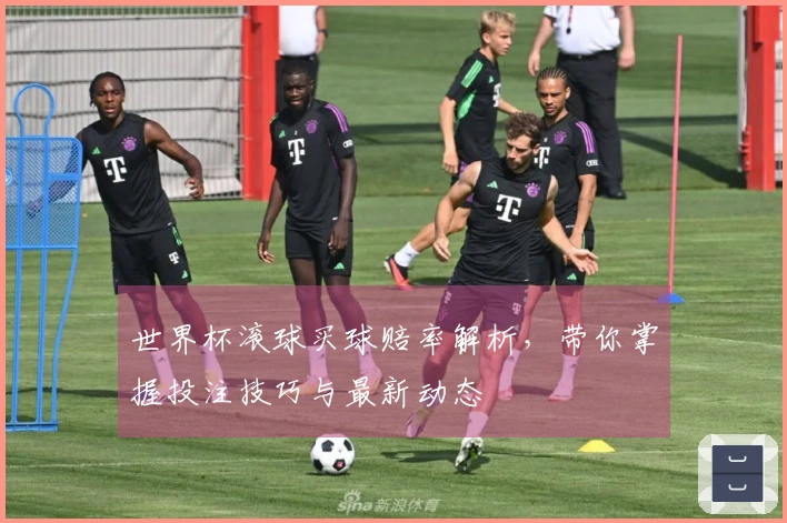世界杯滚球买球赔率解析，带你掌握投注技巧与最新动态