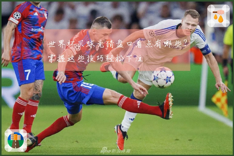 世界杯买球竞猜盘口看点有哪些？掌握这些技巧轻松下注